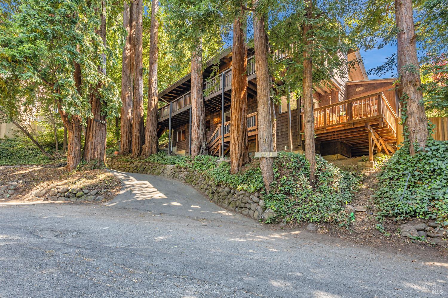 Detail Gallery Image 37 of 42 For 230 Del Casa Dr, Mill Valley,  CA 94941 - 4 Beds | 2/1 Baths