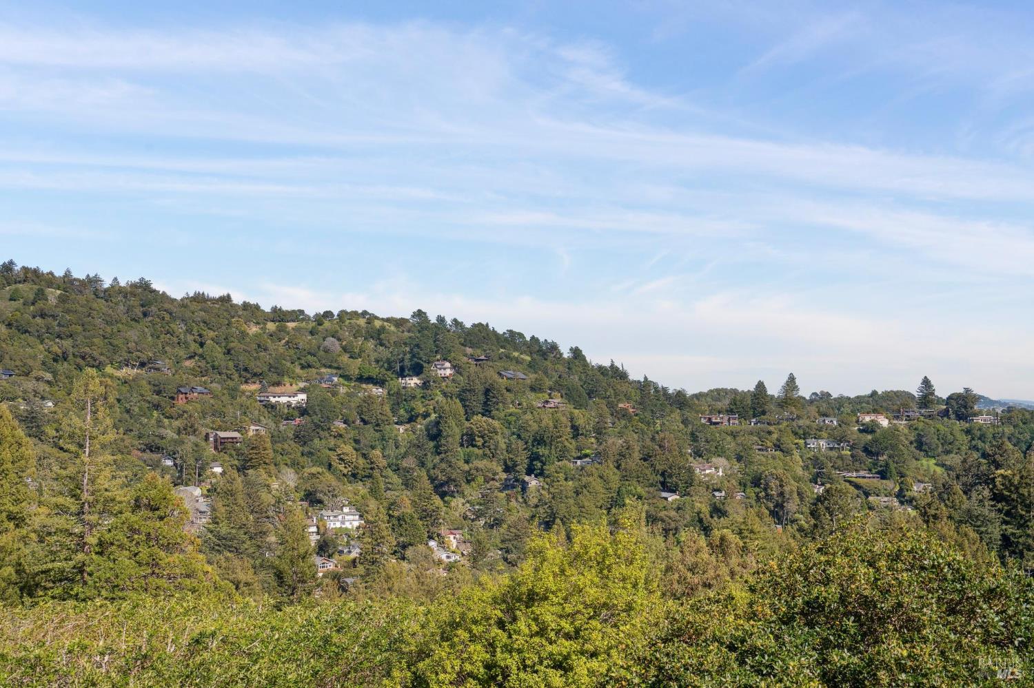 Detail Gallery Image 42 of 44 For 45 Beverly Ter, Mill Valley,  CA 94941 - 3 Beds | 3 Baths