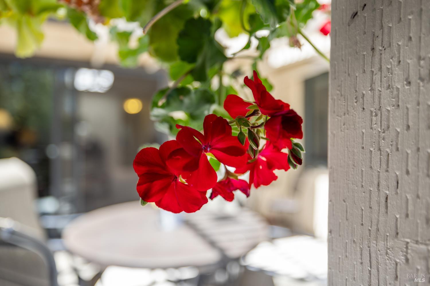 Detail Gallery Image 38 of 51 For 920 5th St #Q,  Sonoma,  CA 95476 - 2 Beds | 2 Baths