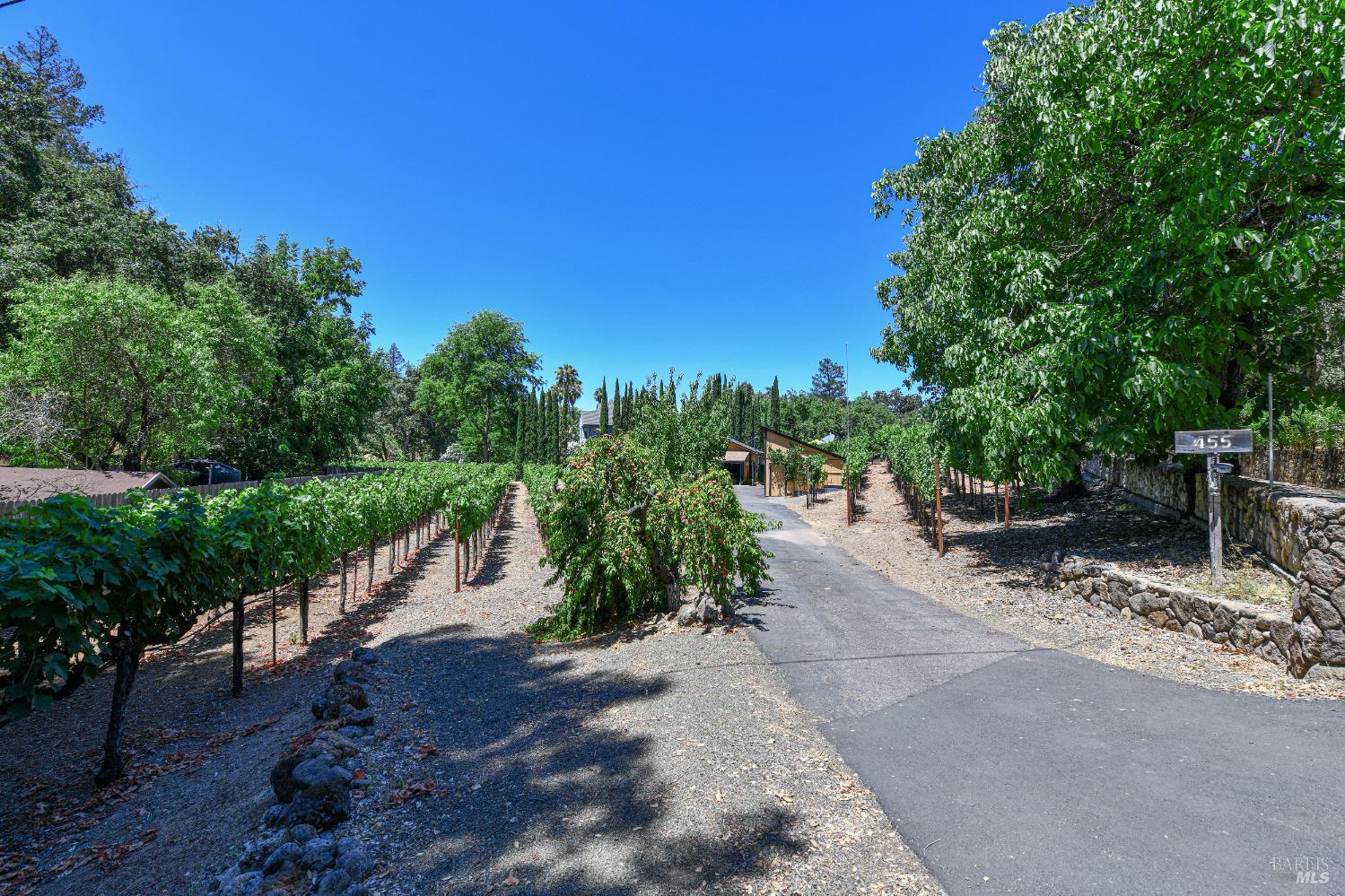 Detail Gallery Image 4 of 57 For 455 Glass Mountain Rd, Saint Helena,  CA 94574 - 3 Beds | 2 Baths
