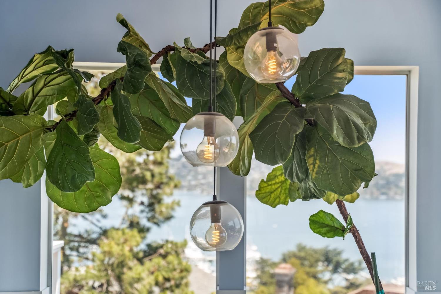 Detail Gallery Image 22 of 39 For 231 Cazneau Ave, Sausalito,  CA 94965 - 4 Beds | 3/1 Baths
