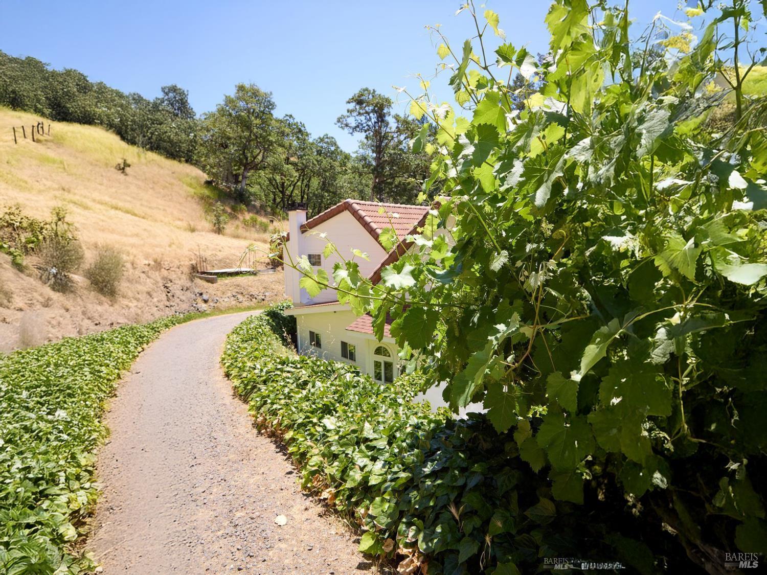 Detail Gallery Image 31 of 79 For 19400 Scenic Dr, Redwood Valley,  CA 95470 - 3 Beds | 2 Baths