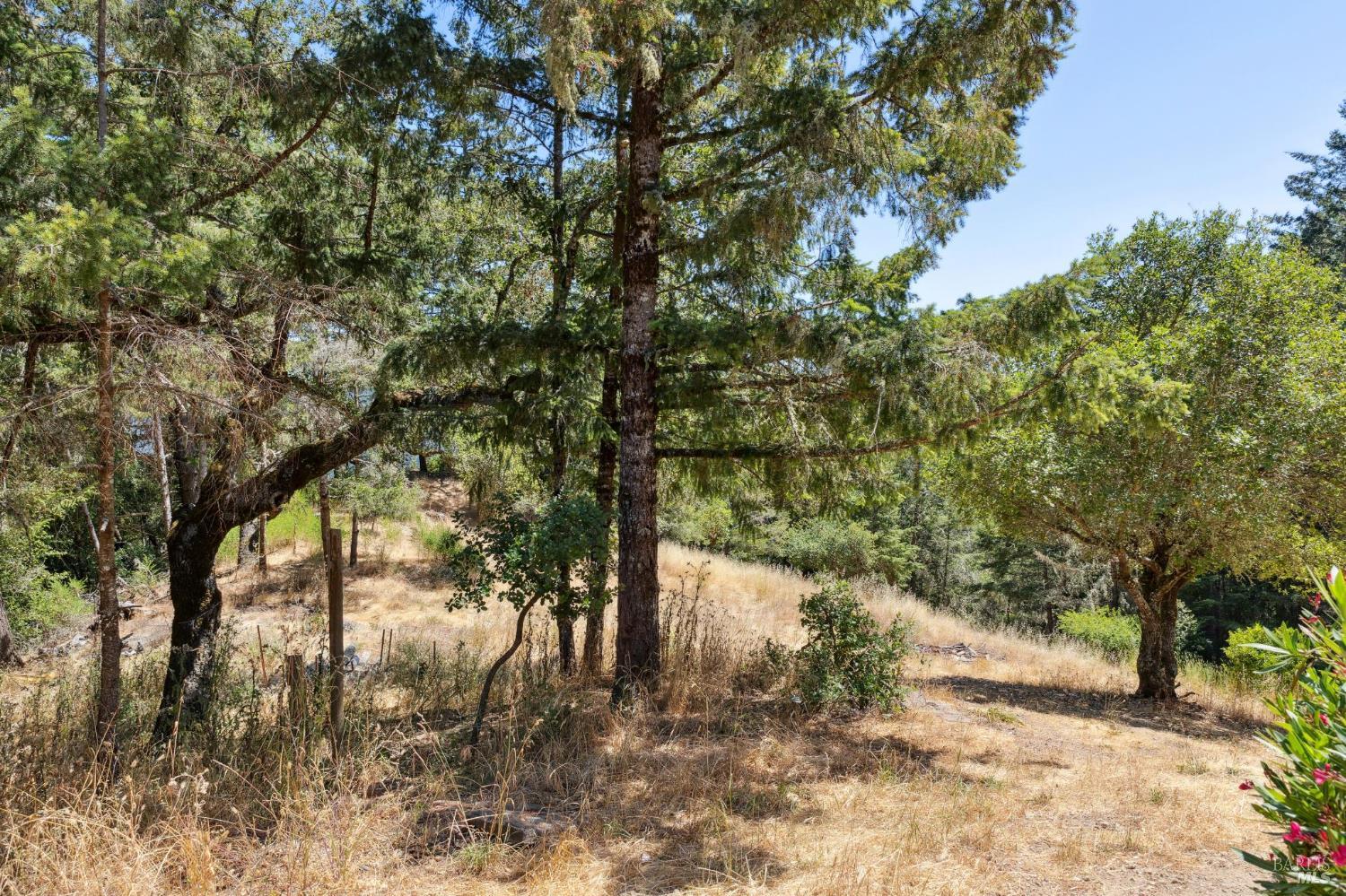 Detail Gallery Image 58 of 99 For 21540 Siri Rd, Guerneville,  CA 95446 - 3 Beds | 2 Baths