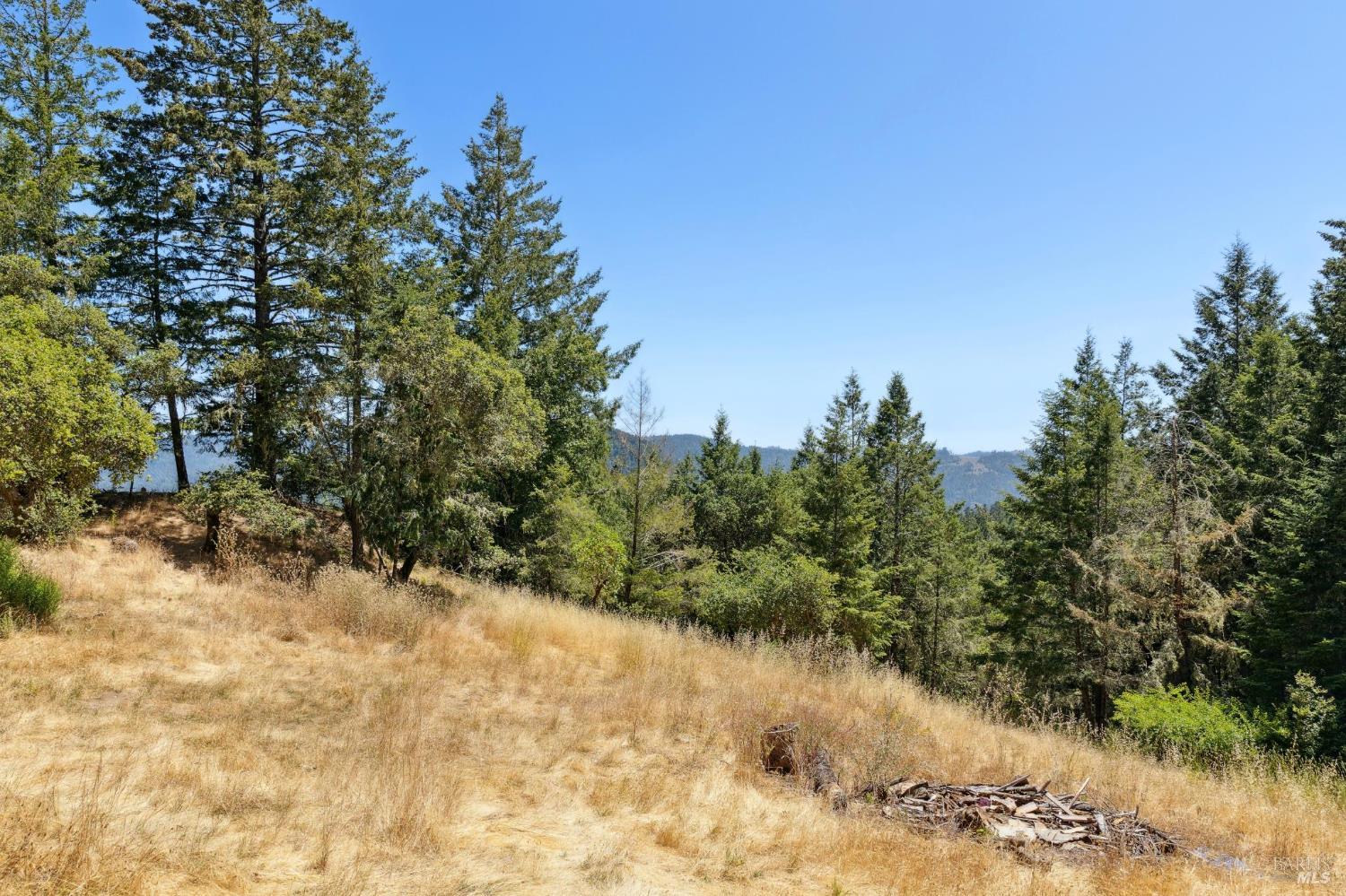Detail Gallery Image 59 of 99 For 21540 Siri Rd, Guerneville,  CA 95446 - 3 Beds | 2 Baths