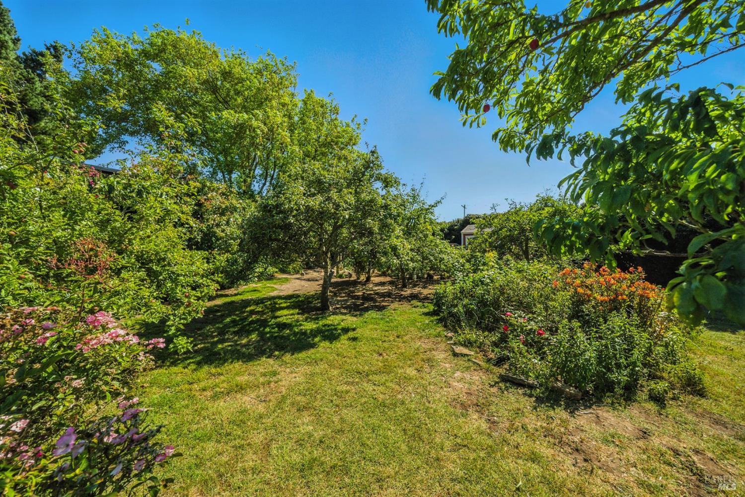 Detail Gallery Image 47 of 76 For 125 Aspen Rd, Bolinas,  CA 94924 - 4 Beds | 2 Baths