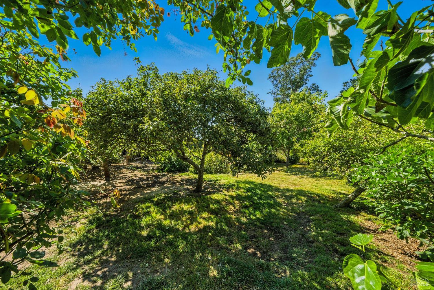 Detail Gallery Image 39 of 76 For 125 Aspen Rd, Bolinas,  CA 94924 - 4 Beds | 2 Baths