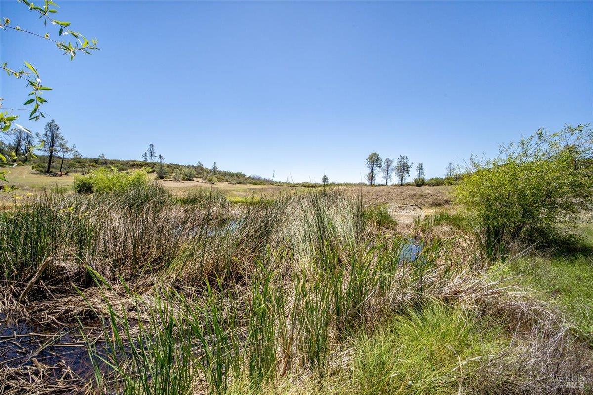 Detail Gallery Image 6 of 31 For 23621 Morgan Valley Rd, Lower Lake,  CA 95457 - 0 Beds | 0 Baths