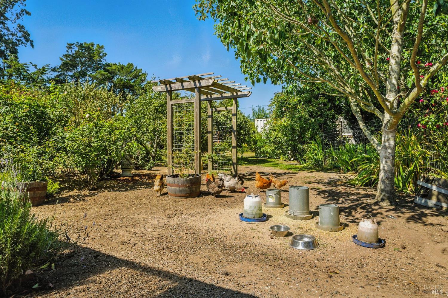 Detail Gallery Image 44 of 76 For 125 Aspen Rd, Bolinas,  CA 94924 - 4 Beds | 2 Baths