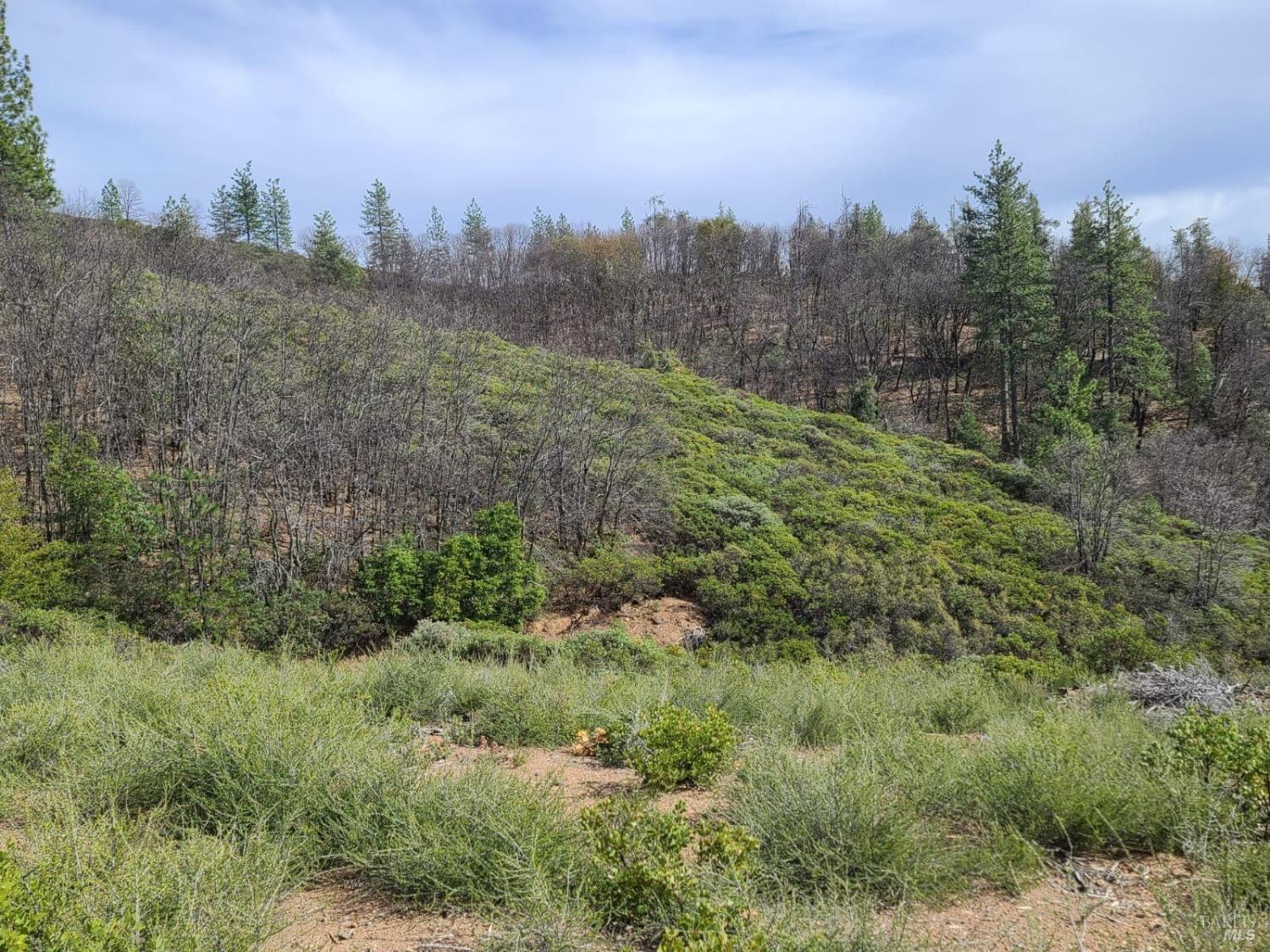 Detail Gallery Image 10 of 74 For 47700 Bentley Ridge Rd, Covelo,  CA 95428 - – Beds | – Baths
