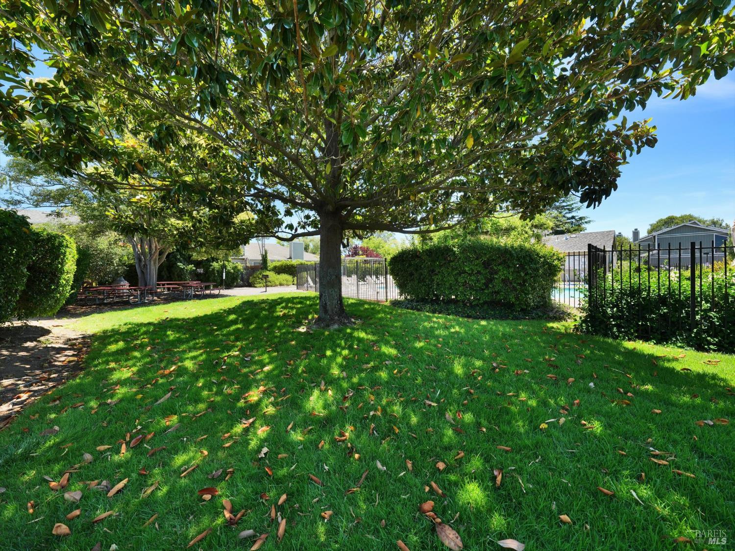 Detail Gallery Image 48 of 69 For 125 Spinnaker Point Dr, San Rafael,  CA 94901 - 2 Beds | 2 Baths