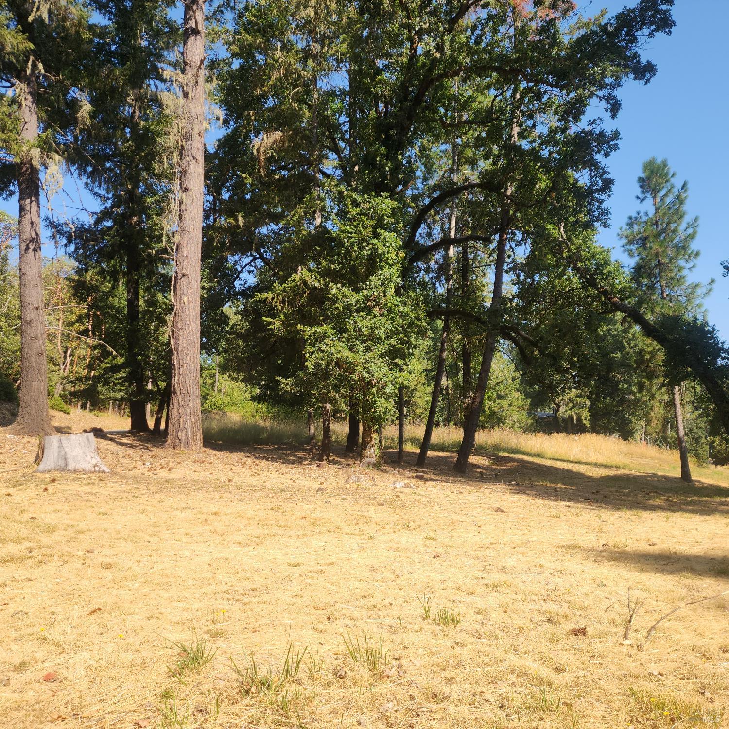 Detail Gallery Image 12 of 13 For 25331 Sherwood Rd, Willits,  CA 95490 - – Beds | – Baths