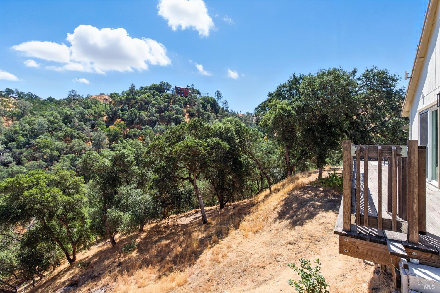 Detail Gallery Image 49 of 50 For 1239 Steele Canyon Rd, Napa,  CA 94558 - 3 Beds | 2 Baths