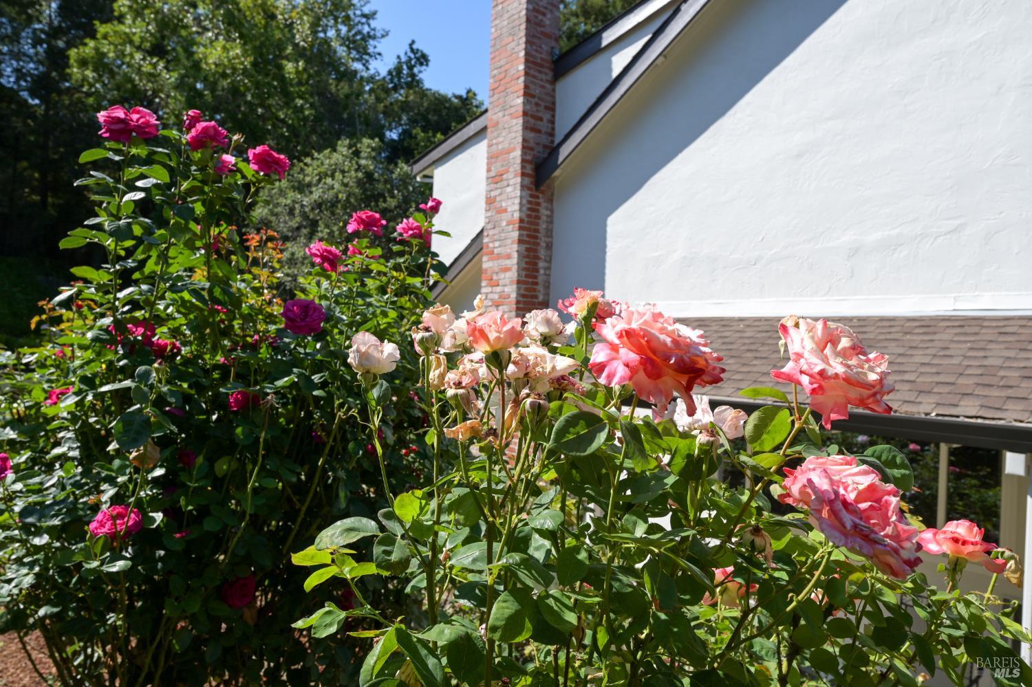Detail Gallery Image 49 of 68 For 10 Pebble Beach Dr, Novato,  CA 94949 - 4 Beds | 3 Baths