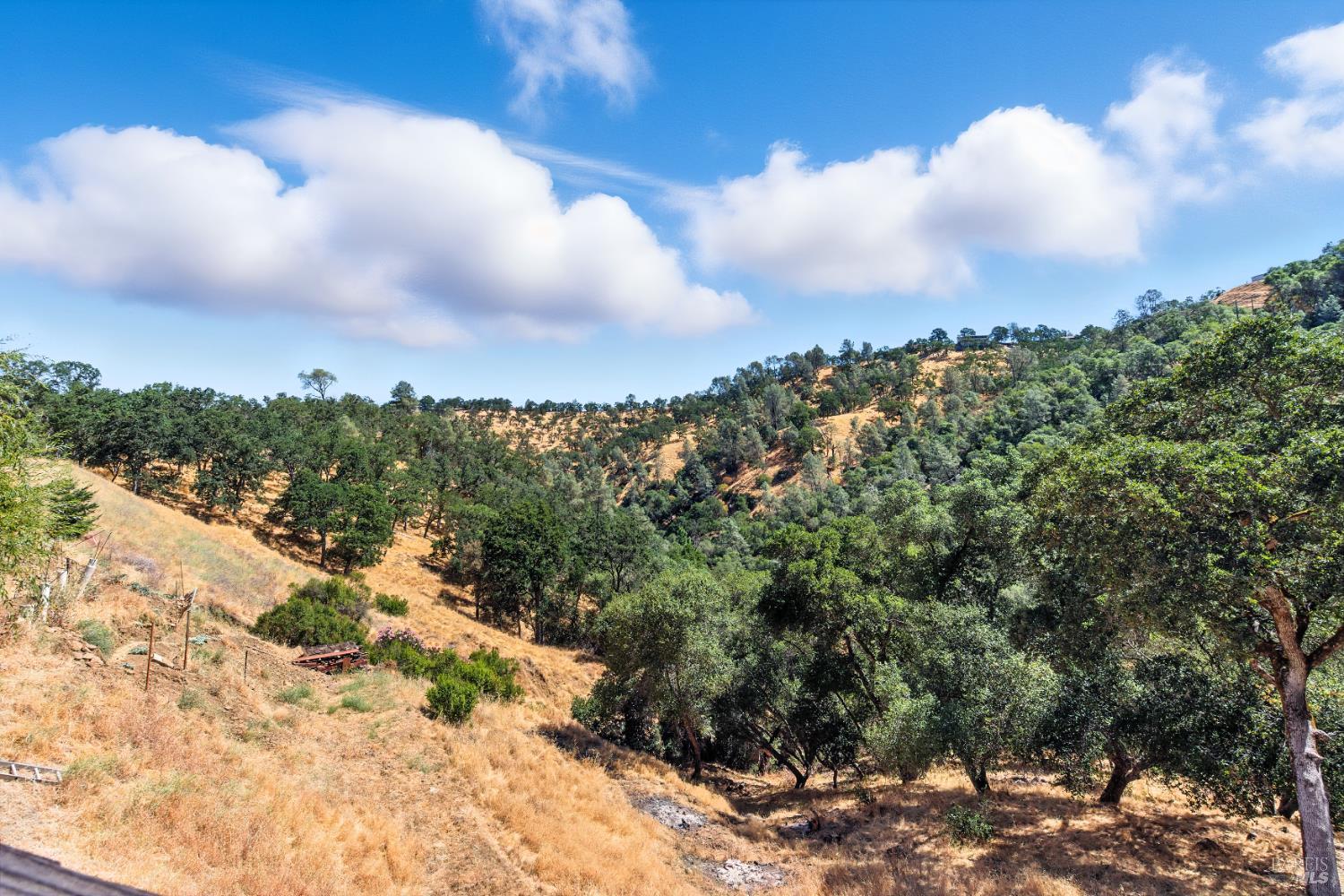 Detail Gallery Image 48 of 50 For 1239 Steele Canyon Rd, Napa,  CA 94558 - 3 Beds | 2 Baths