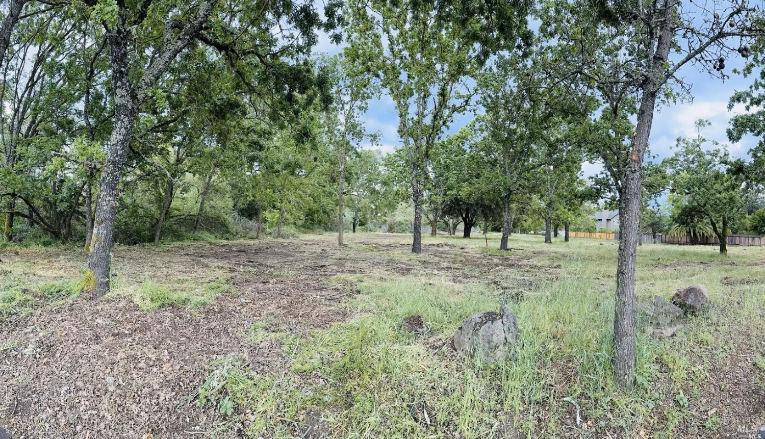 Search Homes for Rent