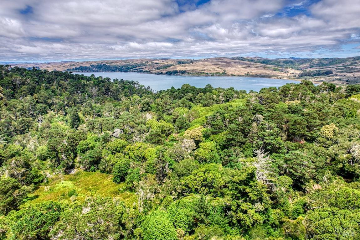 Detail Gallery Image 3 of 45 For 450 via De La Vista Unkn, Inverness,  CA 94937 - 3 Beds | 2 Baths
