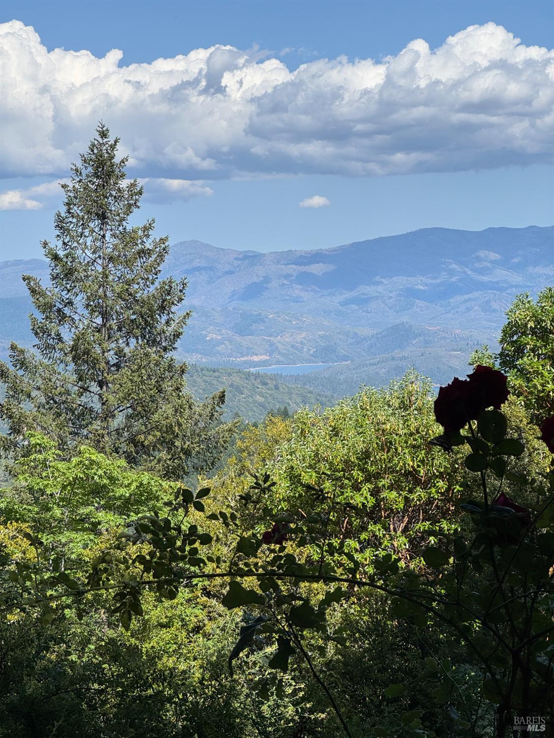 Detail Gallery Image 29 of 41 For 26346 N 16th Rd, Potter Valley,  CA 95469 - 1 Beds | 1 Baths