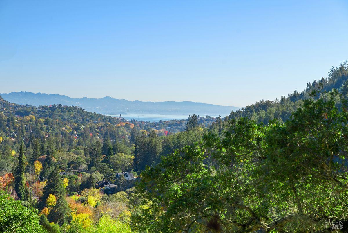 Detail Gallery Image 57 of 59 For 27 Upper Rd, Ross,  CA 94957 - 8 Beds | 8/1 Baths