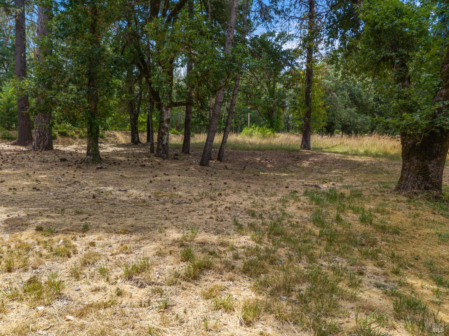 Detail Gallery Image 13 of 13 For 25331 Sherwood Rd, Willits,  CA 95490 - – Beds | – Baths