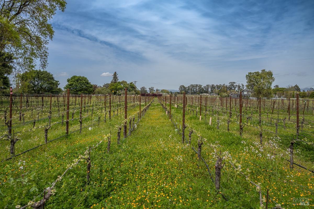 Detail Gallery Image 58 of 82 For 3061 Cuttings Wharf Rd, Napa,  CA 94559 - 4 Beds | 3 Baths