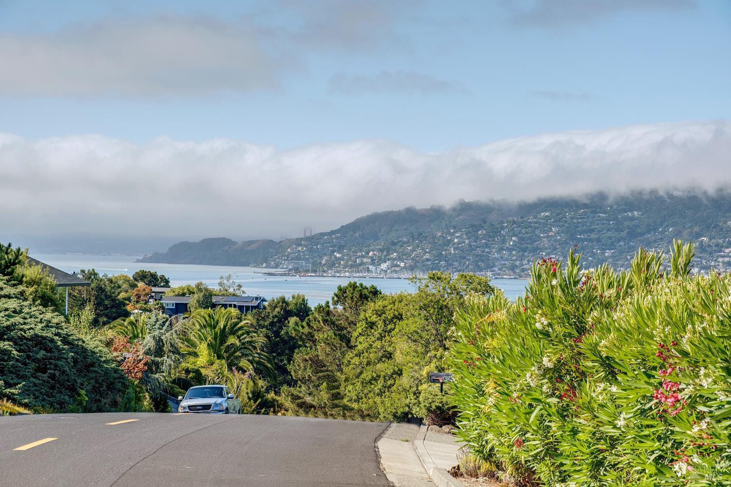 Detail Gallery Image 45 of 48 For 90 Geldert Dr, Tiburon,  CA 94920 - 3 Beds | 2/1 Baths