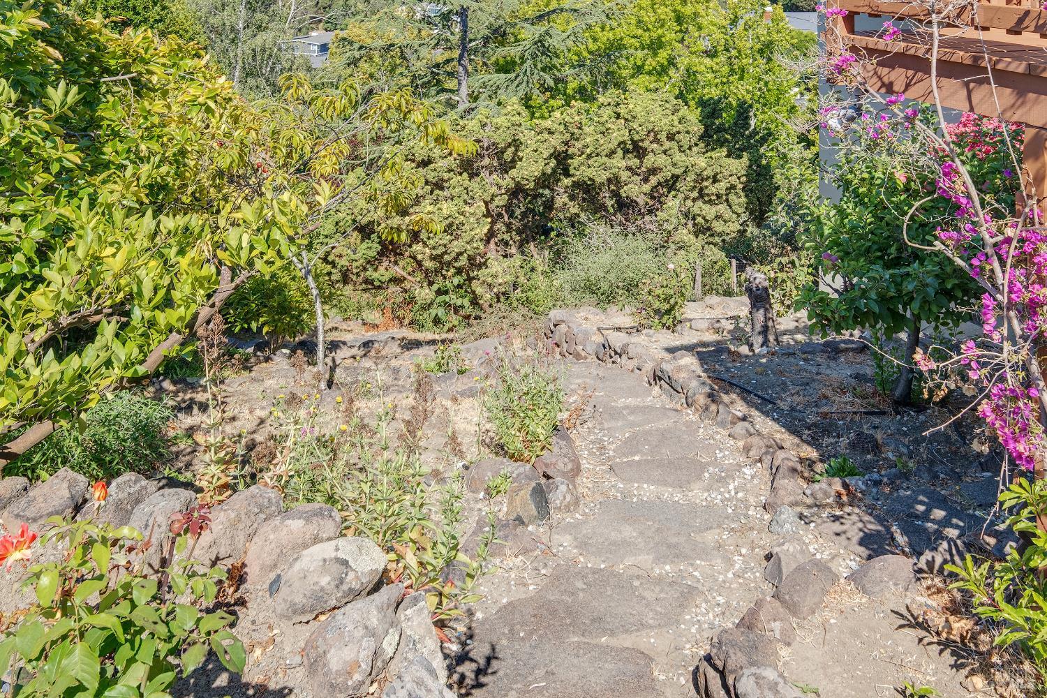 Detail Gallery Image 40 of 48 For 90 Geldert Dr, Tiburon,  CA 94920 - 3 Beds | 2/1 Baths