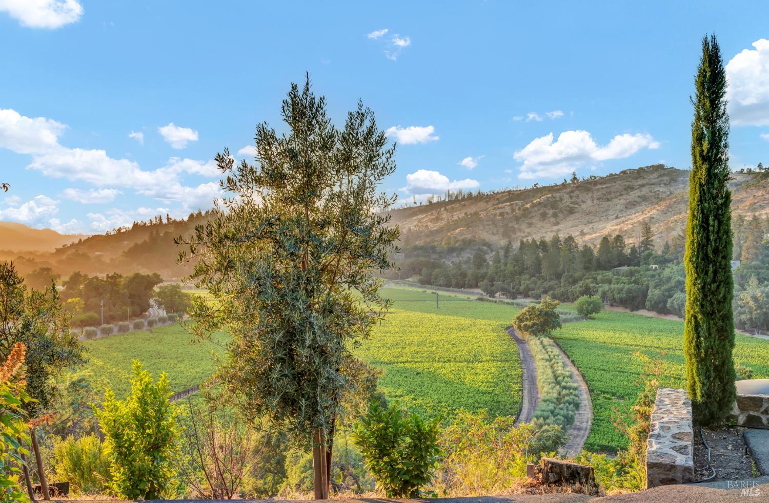 Detail Gallery Image 2 of 31 For 1700 Howell Mountain Rd, Saint Helena,  CA 94574 - 5 Beds | 4/1 Baths