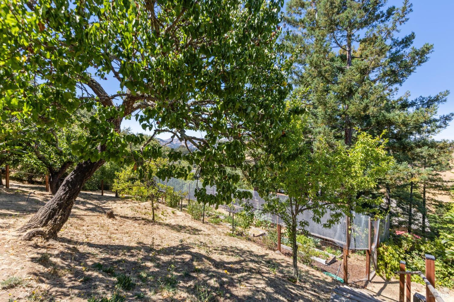 Detail Gallery Image 64 of 76 For 600 Canyon Rd, Novato,  CA 94947 - 4 Beds | 3/1 Baths