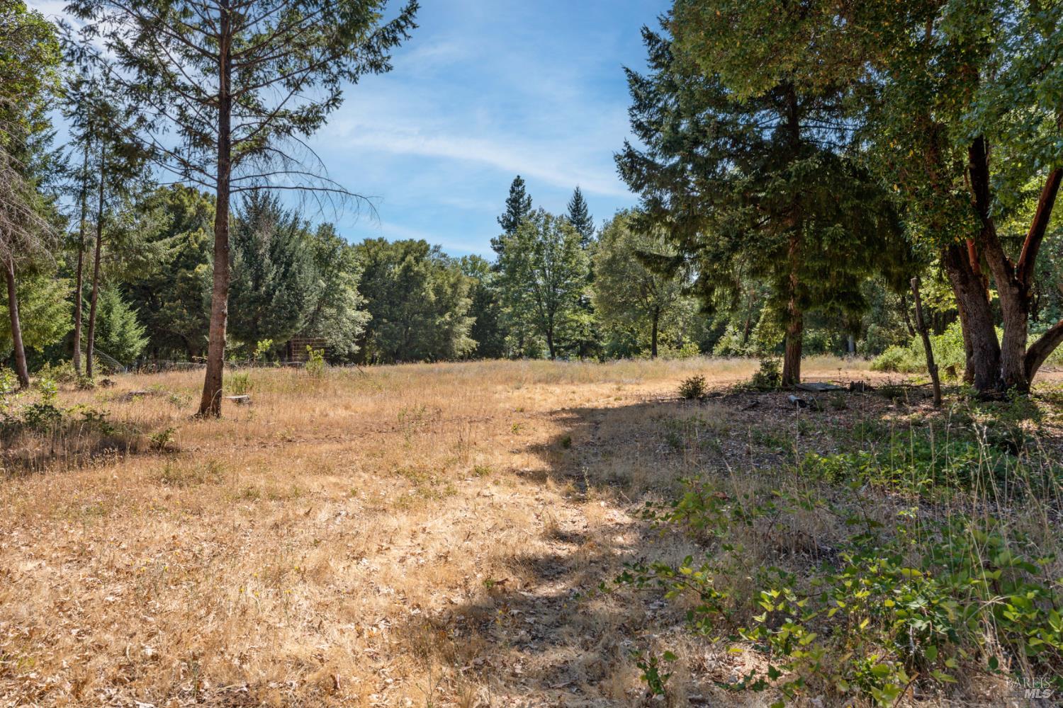 Detail Gallery Image 18 of 23 For 78611 Mina Rd, Covelo,  CA 95428 - 3 Beds | 2 Baths