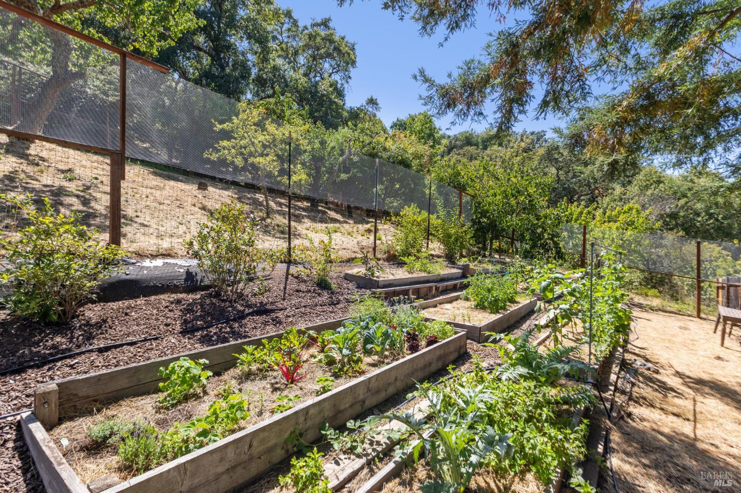 Detail Gallery Image 66 of 76 For 600 Canyon Rd, Novato,  CA 94947 - 4 Beds | 3/1 Baths