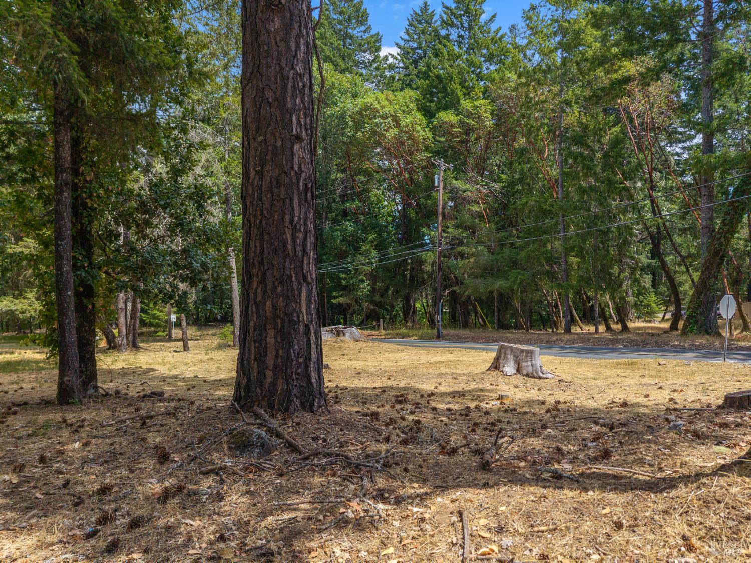 Detail Gallery Image 1 of 13 For 25331 Sherwood Rd, Willits,  CA 95490 - – Beds | – Baths