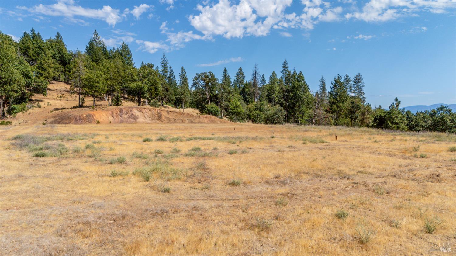 Detail Gallery Image 21 of 23 For 78611 Mina Rd, Covelo,  CA 95428 - 3 Beds | 2 Baths