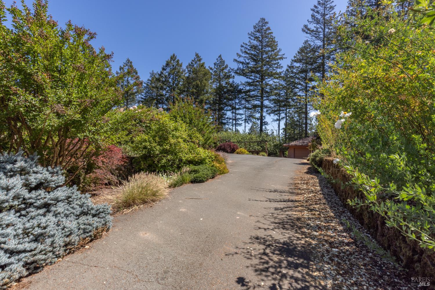 Detail Gallery Image 8 of 17 For 7007 Dry Creek Rd, Napa,  CA 94558 - 0 Beds | 0 Baths