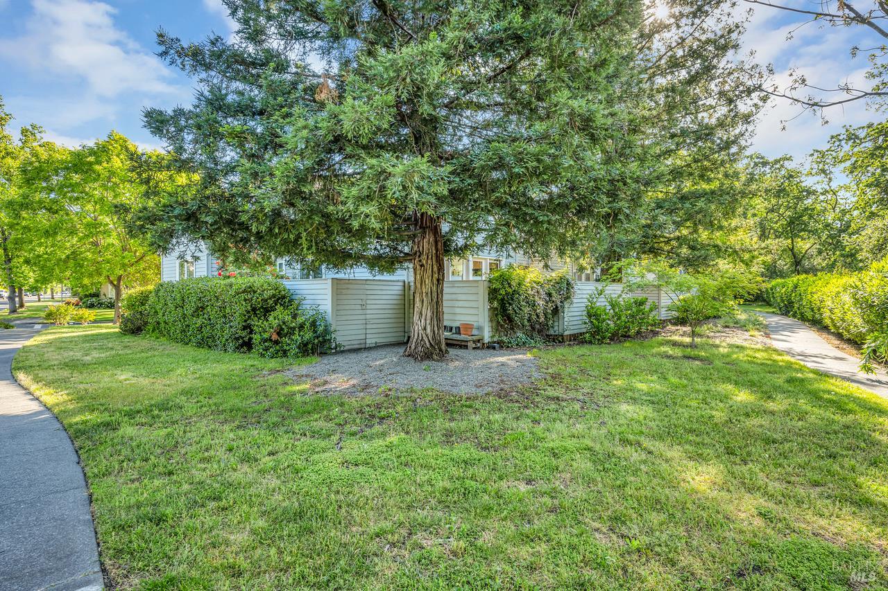Detail Gallery Image 18 of 18 For 1500 Voorhees Cir, Saint Helena,  CA 94574 - 3 Beds | 2 Baths