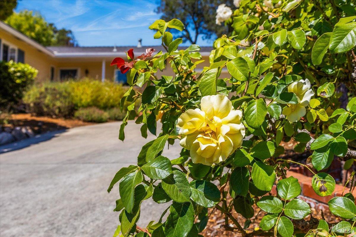 Detail Gallery Image 31 of 37 For 5331 Diane Way, Santa Rosa,  CA 95409 - 2 Beds | 2 Baths