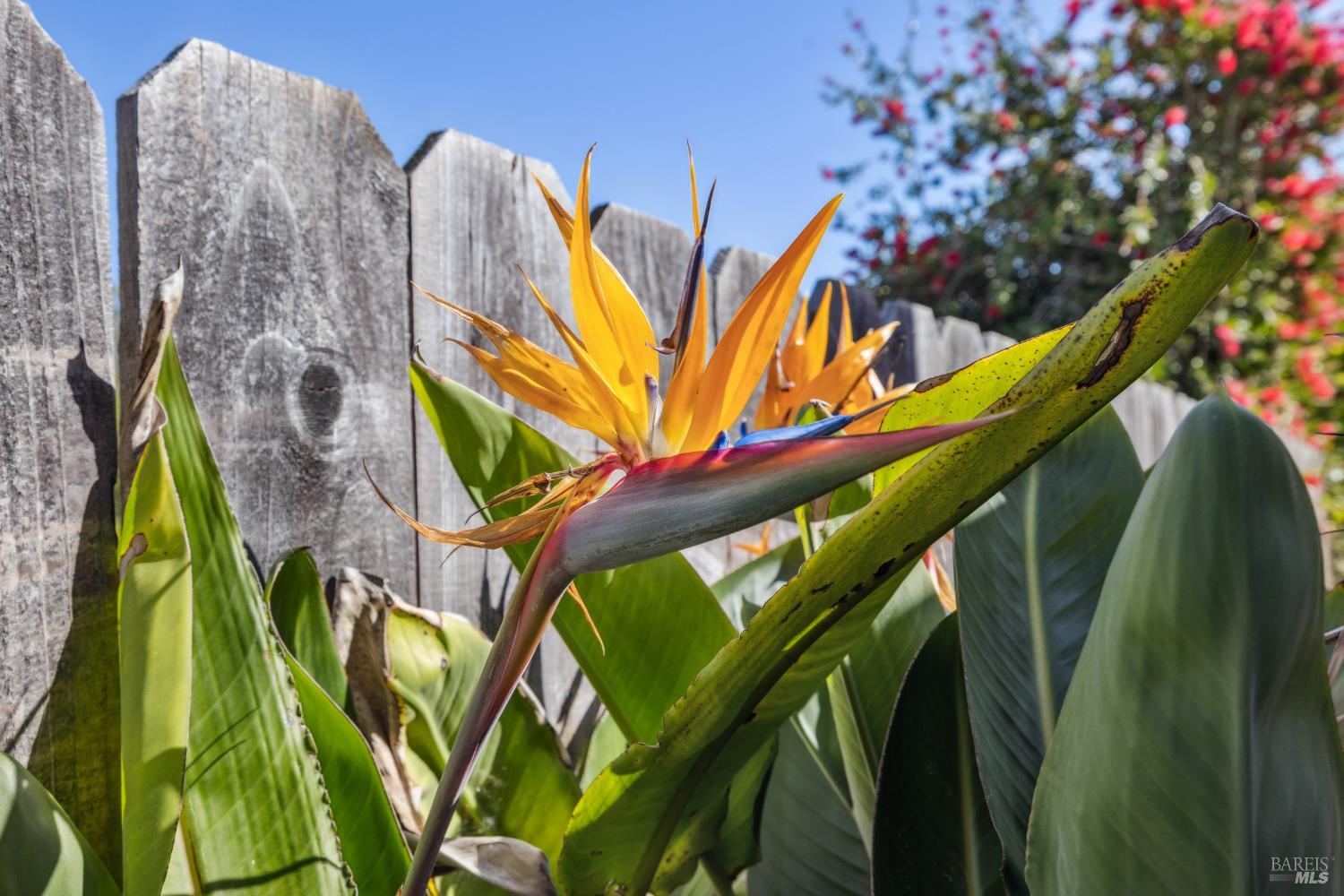Detail Gallery Image 50 of 53 For 7 Hearthstone Ct, San Rafael,  CA 94903 - 4 Beds | 2/1 Baths