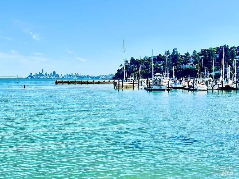 Detail Gallery Image 88 of 95 For 73 Eastview Ave, Tiburon,  CA 94920 - 4 Beds | 4/1 Baths