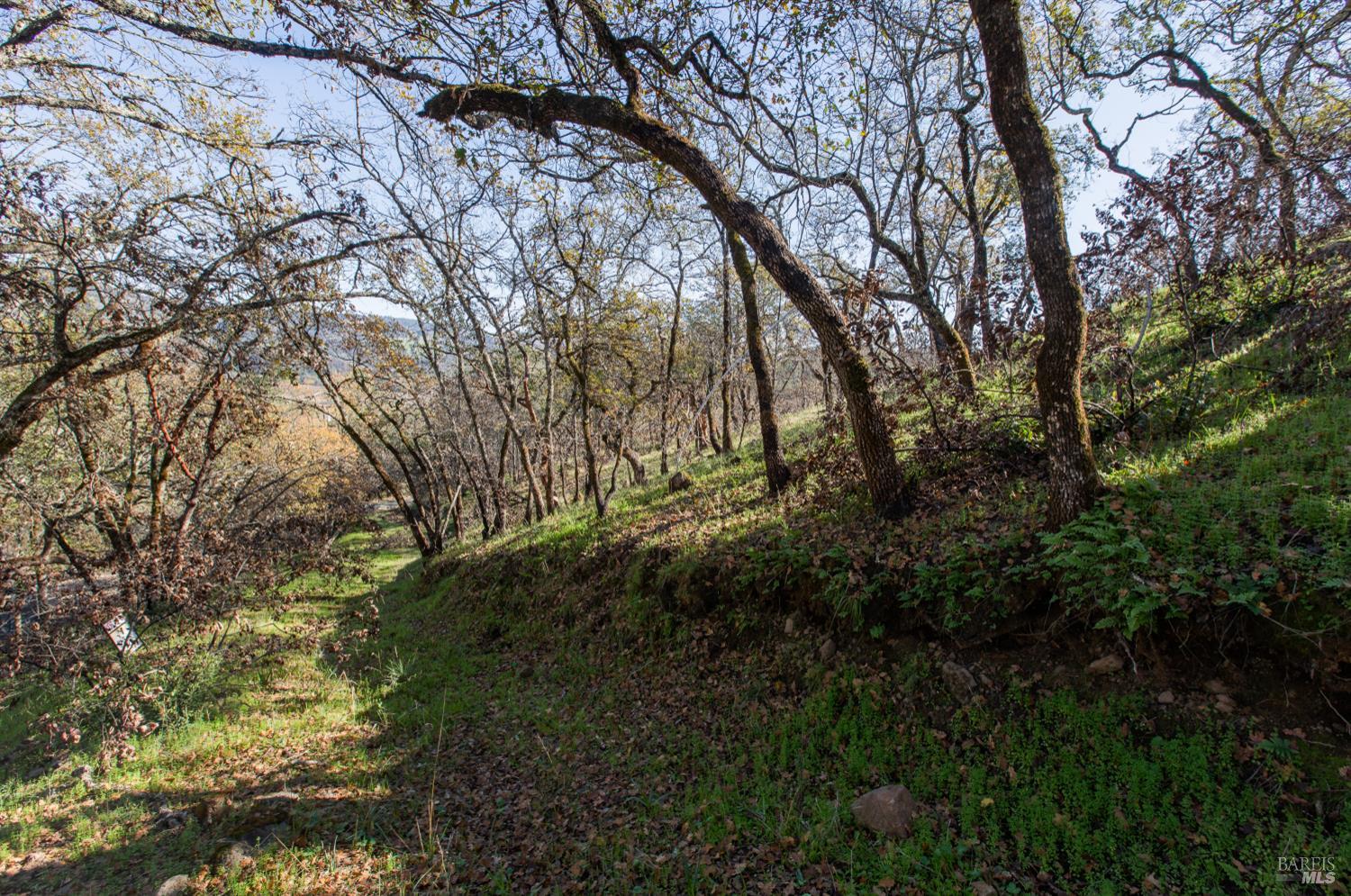 Detail Gallery Image 13 of 14 For 0 Tucker Rd, Calistoga,  CA 94515 - – Beds | – Baths