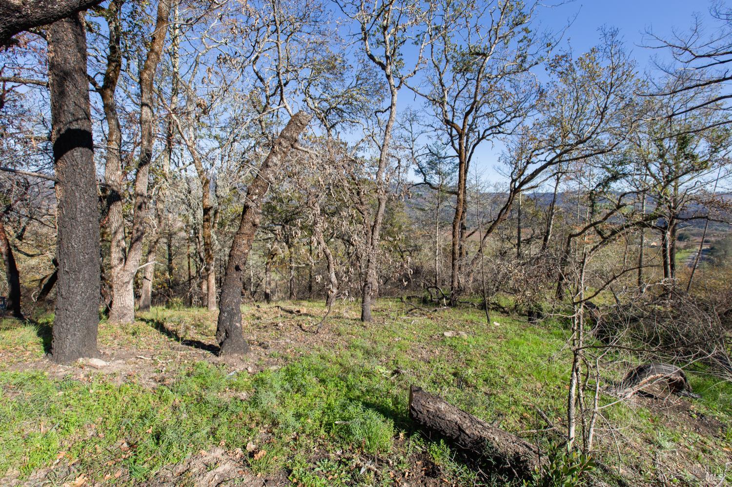 Detail Gallery Image 2 of 14 For 0 Tucker Rd, Calistoga,  CA 94515 - – Beds | – Baths