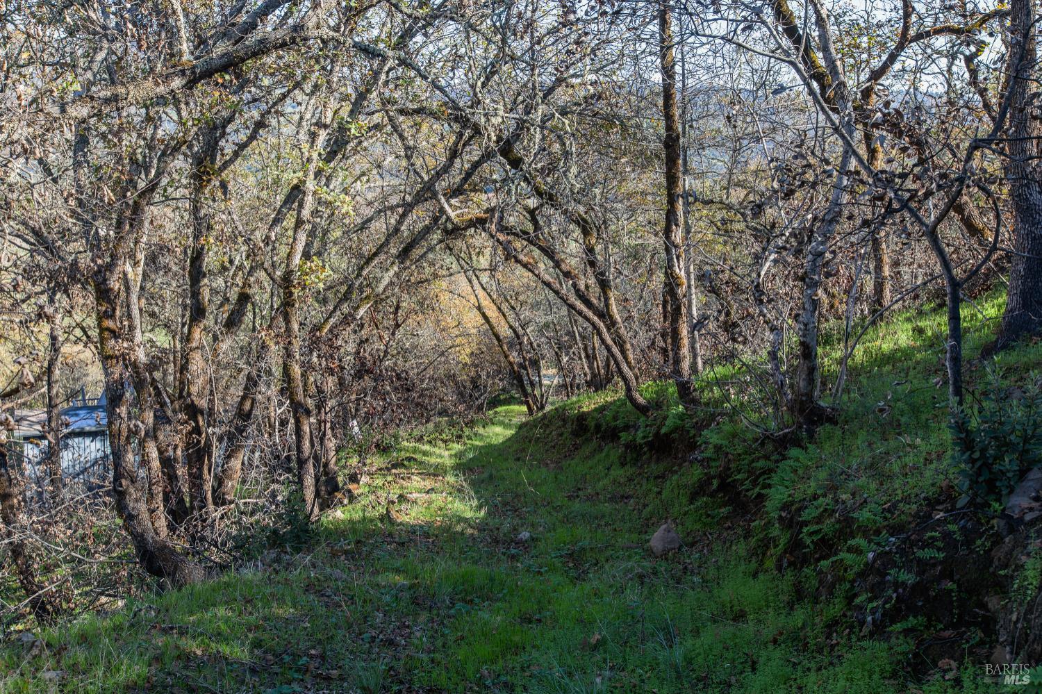 Detail Gallery Image 11 of 14 For 0 Tucker Rd, Calistoga,  CA 94515 - – Beds | – Baths