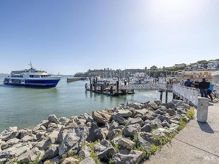 Detail Gallery Image 84 of 95 For 73 Eastview Ave, Tiburon,  CA 94920 - 4 Beds | 4/1 Baths