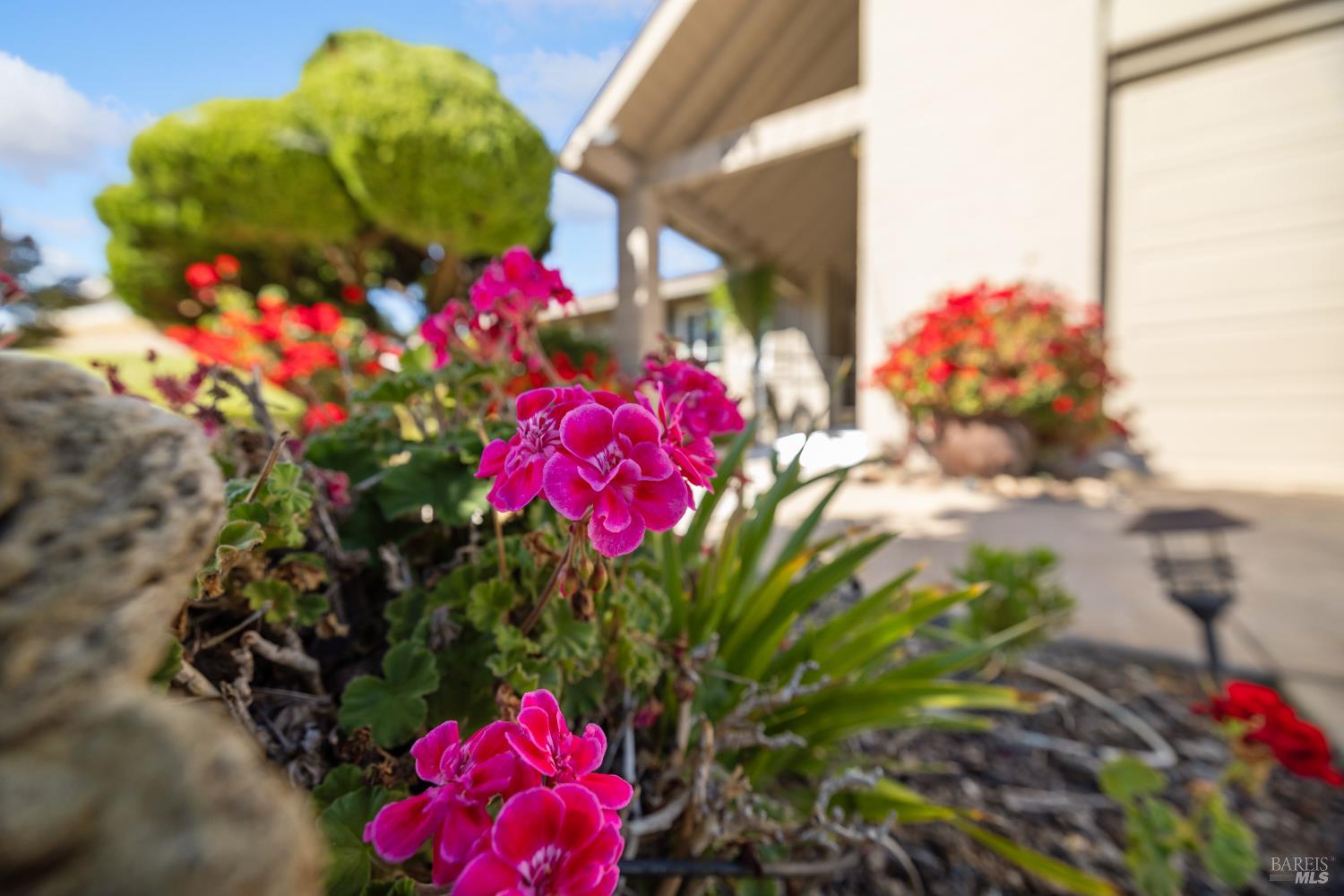 Detail Gallery Image 3 of 63 For 319 Laurel Leaf Pl, Santa Rosa,  CA 95409 - 3 Beds | 2 Baths