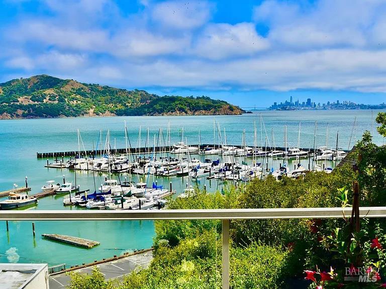 Detail Gallery Image 12 of 95 For 73 Eastview Ave, Tiburon,  CA 94920 - 4 Beds | 4/1 Baths