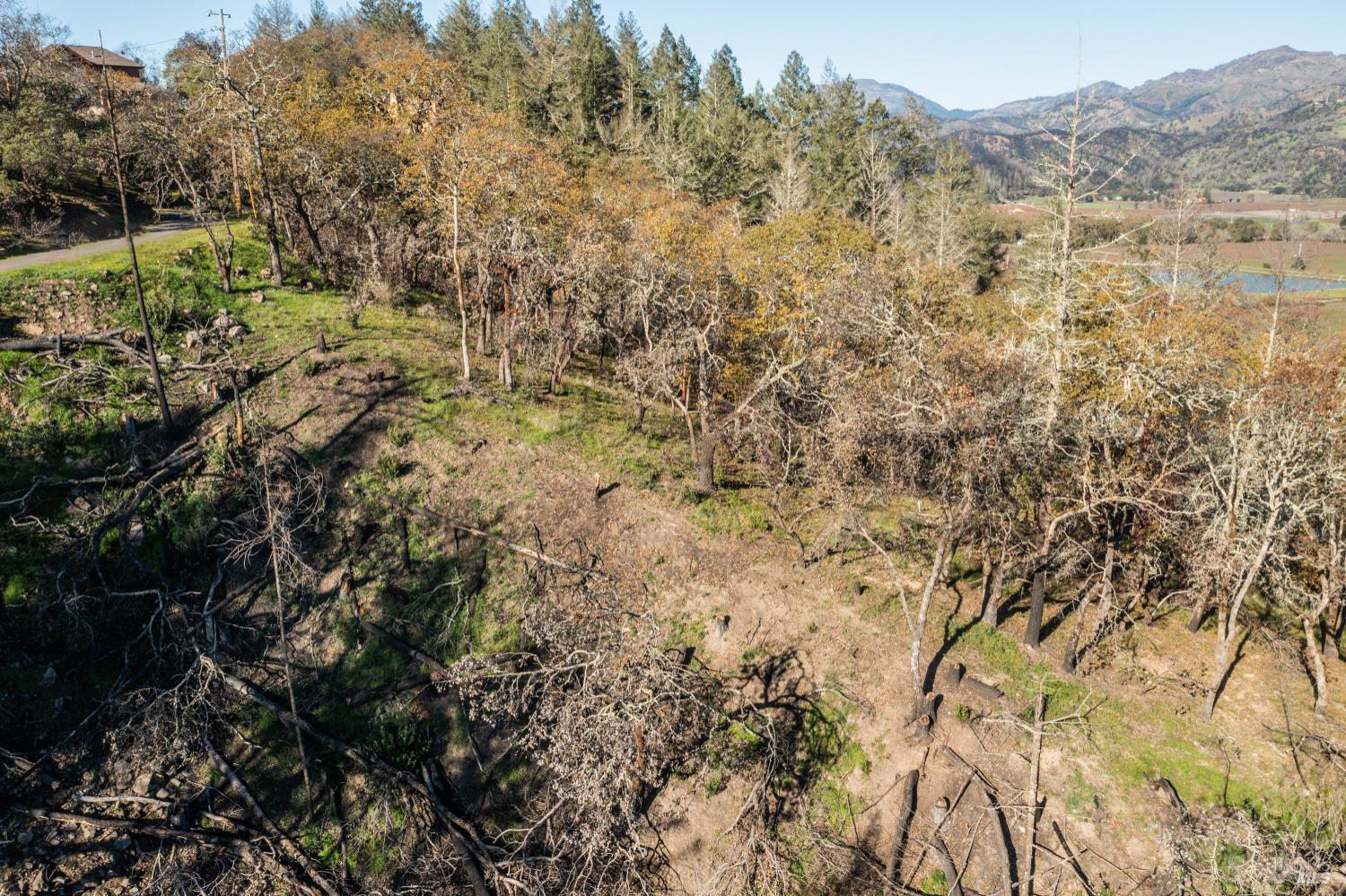Detail Gallery Image 12 of 14 For 0 Tucker Rd, Calistoga,  CA 94515 - – Beds | – Baths
