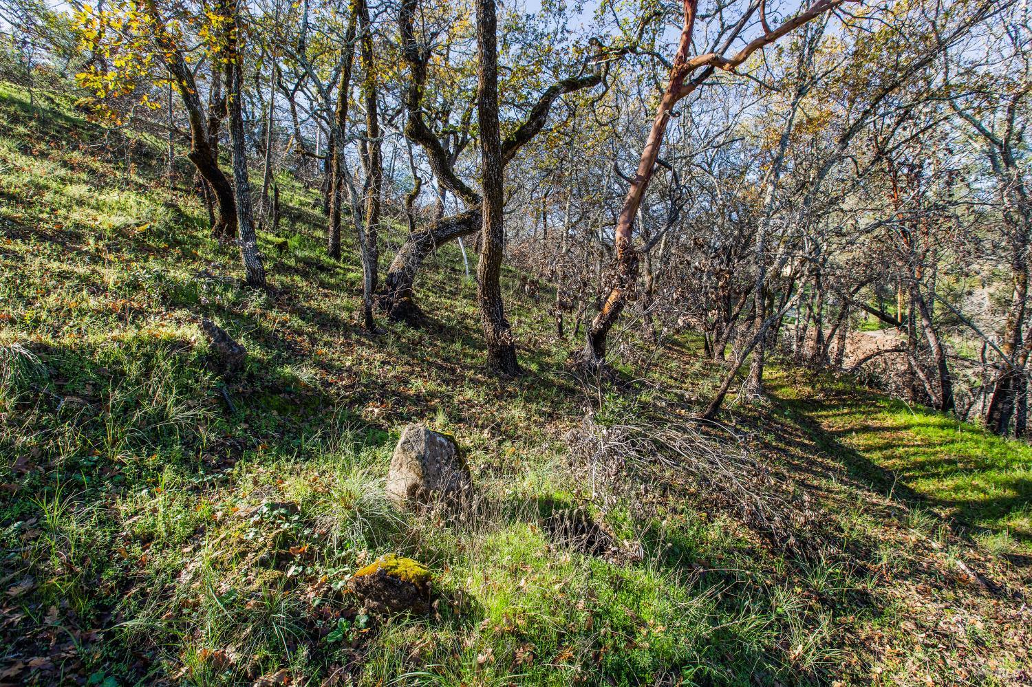 Detail Gallery Image 1 of 14 For 0 Tucker Rd, Calistoga,  CA 94515 - – Beds | – Baths