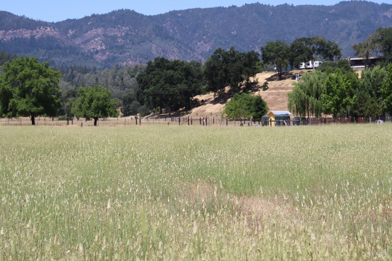 Detail Gallery Image 3 of 9 For 23700 Poonkinney Rd, Covelo,  CA 95428 - – Beds | – Baths