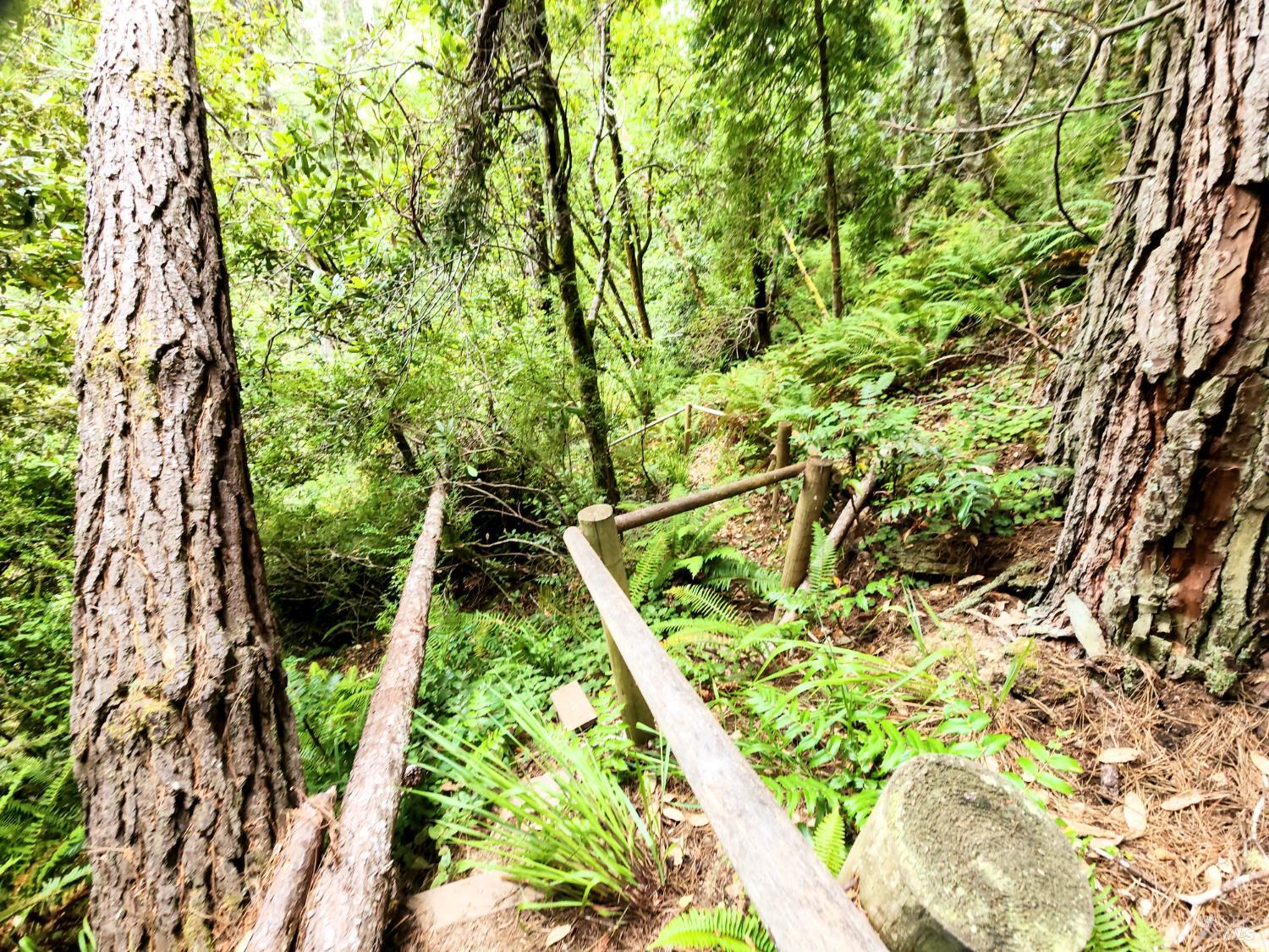 Detail Gallery Image 51 of 53 For 15551 Forest View Rd, Manchester,  CA 95459 - 2 Beds | 2 Baths