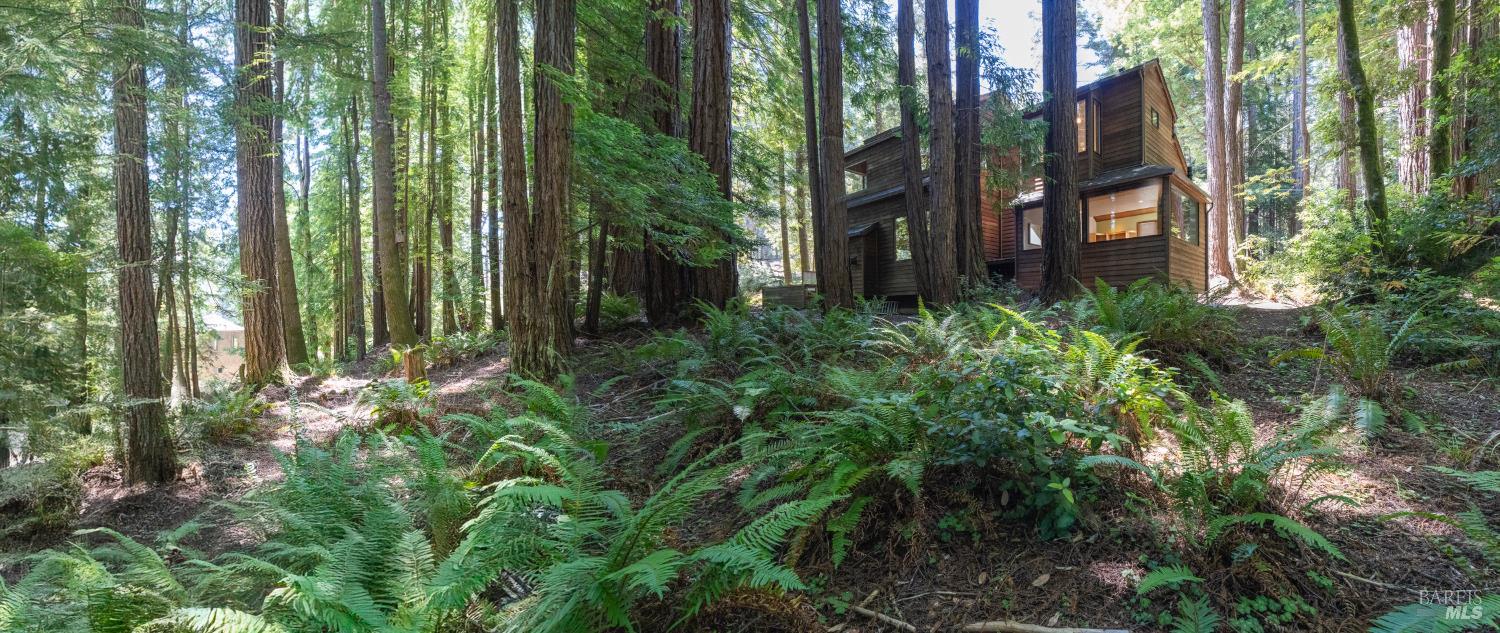 Detail Gallery Image 41 of 55 For 36419 East Ridge Rd, The Sea Ranch,  CA 95497 - 1 Beds | 2 Baths