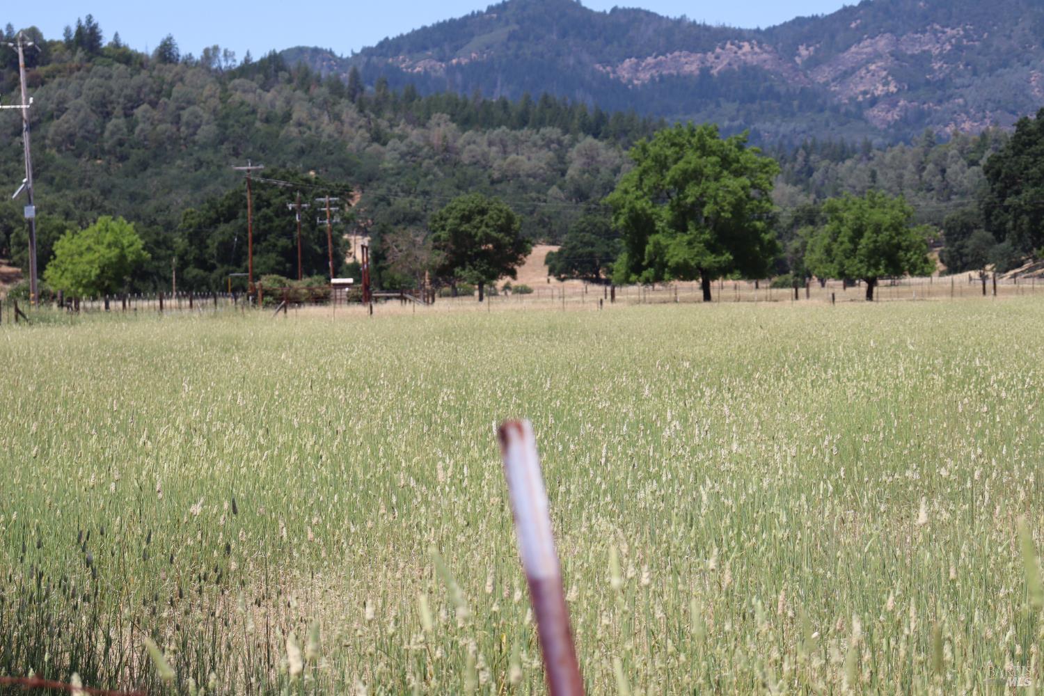 Detail Gallery Image 4 of 9 For 23700 Poonkinney Rd, Covelo,  CA 95428 - – Beds | – Baths