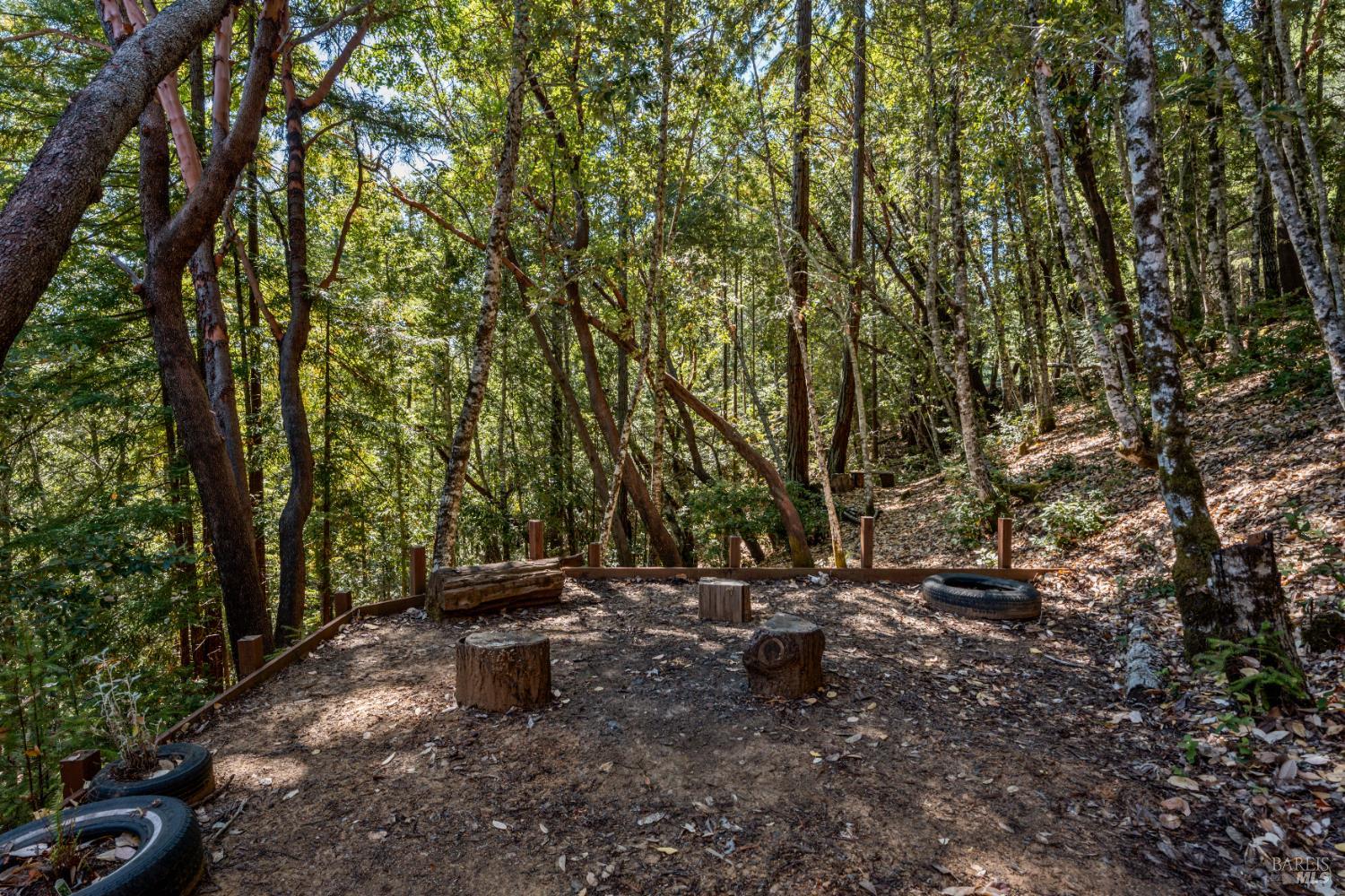 Detail Gallery Image 28 of 29 For 2030 Buckeye Dr, Willits,  CA 95490 - 3 Beds | 2 Baths